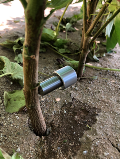 Cotton research poster