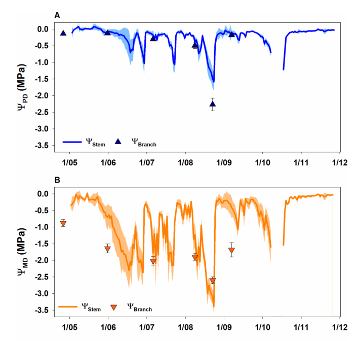 Hornbeam sensor data