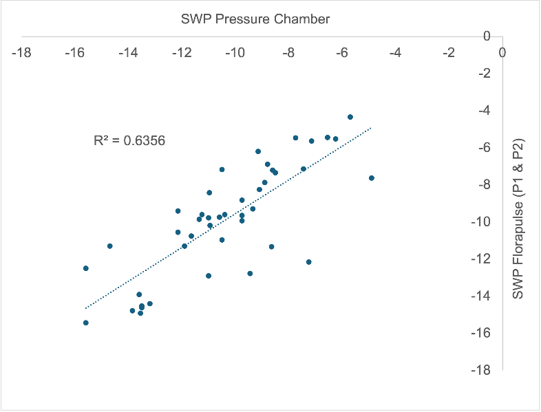UC ANR Kearney REC Center Jujube trial