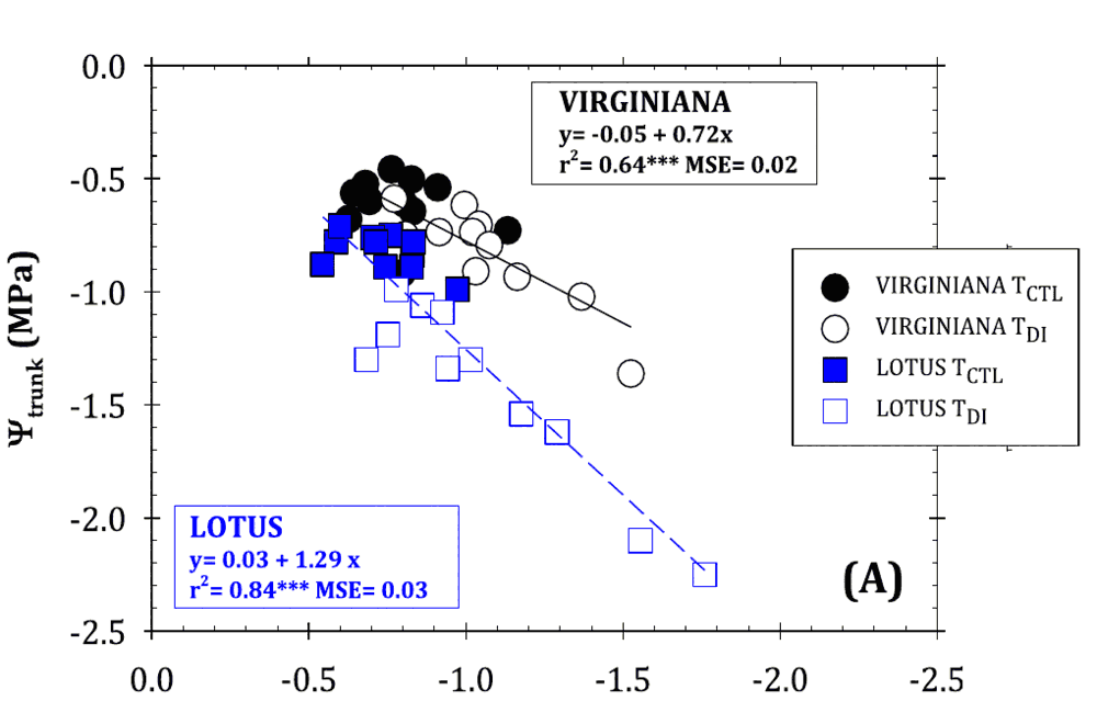 FloraPulse trunk water potential (vertical axis) against pressure-chamber stem water potential (horizontal axis) in persimmon: r² = 0.84 on D. lotus, 0.64 on D. virginiana. From Conesa et al. 2026 (CC BY 4.0).