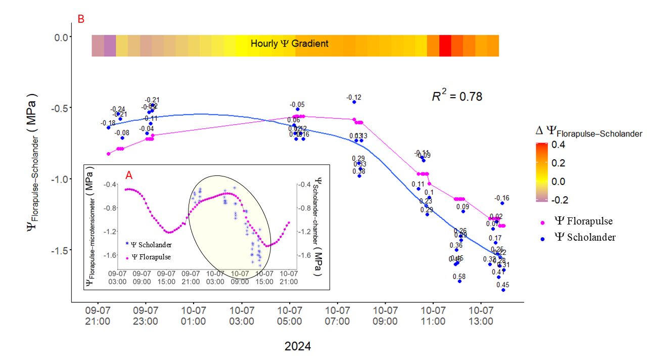 Pine sensor data