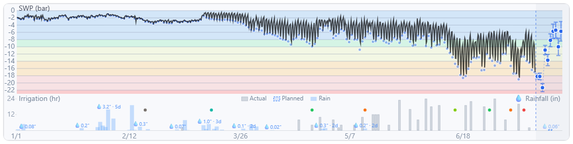 The 24/7 view: every 20-minute reading, showing the daily rhythm and the response to each irrigation