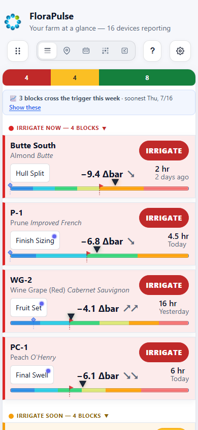 The dashboard on a phone: each block is a card, sorted by urgency