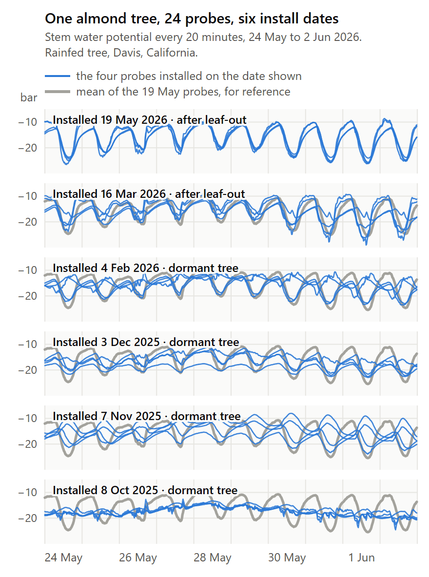 Six stacked panels of stem water potential over the same ten days in late May 2026 from one almond tree, one panel per install date: May and March after leaf-out, then February, December, November and October in the dormant tree; the May probes swing 12 bar a day and the October probes about 3 bar, while a grey reference line from the May probes shows the tree's actual daily cycle in every other panel