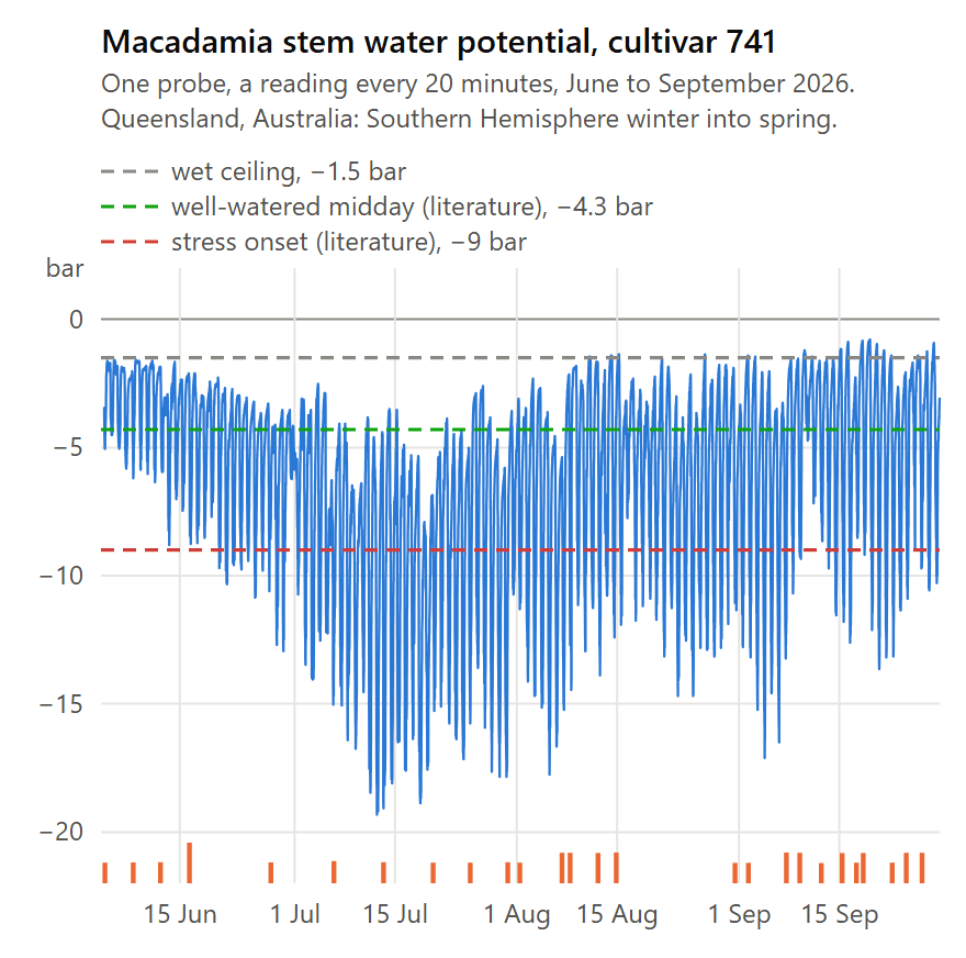 Stem water potential every 20 minutes from one probe in macadamia tree A, cultivar 741, Queensland, 4 June to 28 September 2026, with the wet ceiling, the literature's well-watered midday and stress-onset values as dashed lines and irrigation sets as orange ticks