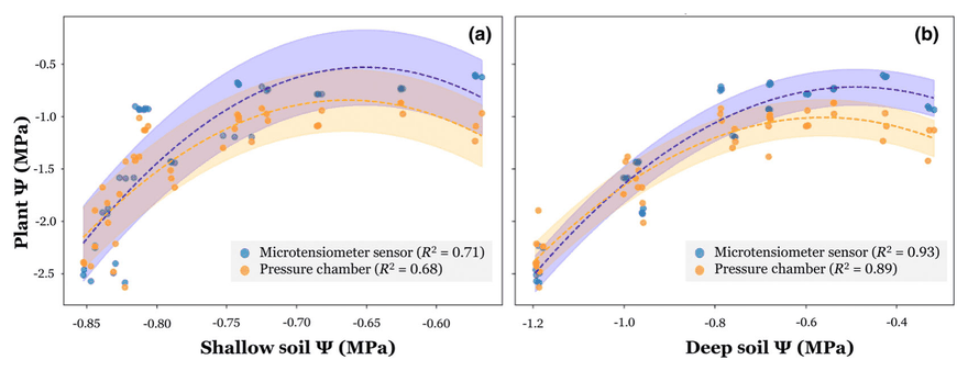 Two panels of almond plant water potential against shallow and deep soil water potential, the microtensiometer in blue and the pressure chamber in orange, with quadratic fits; the sensor's R² is 0.71 and 0.93 against the chamber's 0.68 and 0.89