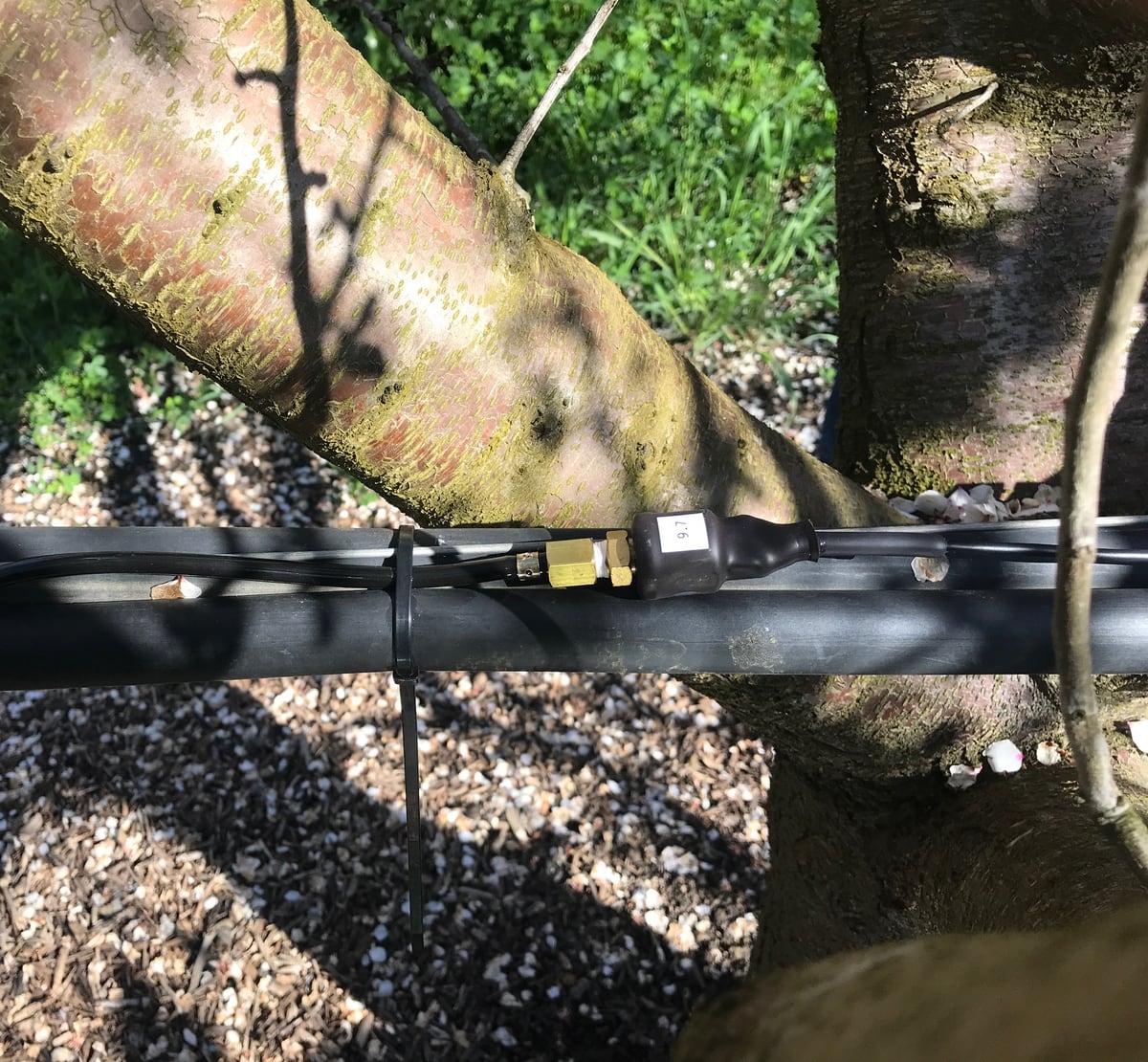 The pressure switch installed on an irrigation line
