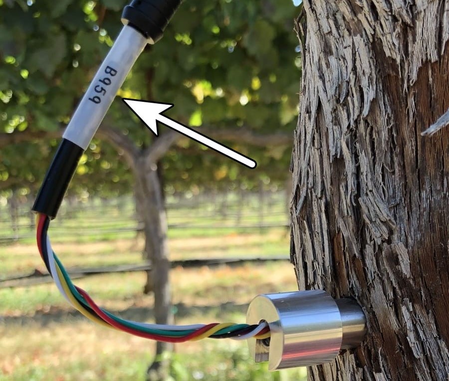 Probe labels are found at the 5-pin connector.