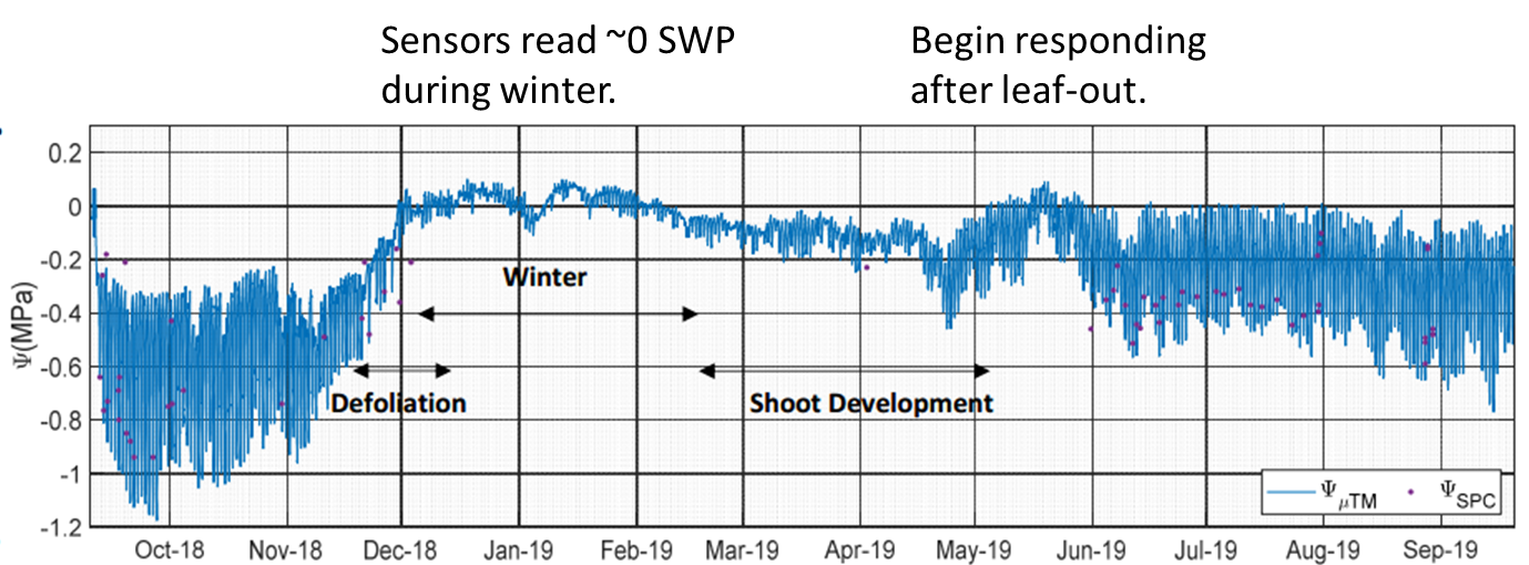 Typical 1-year SWP pattern