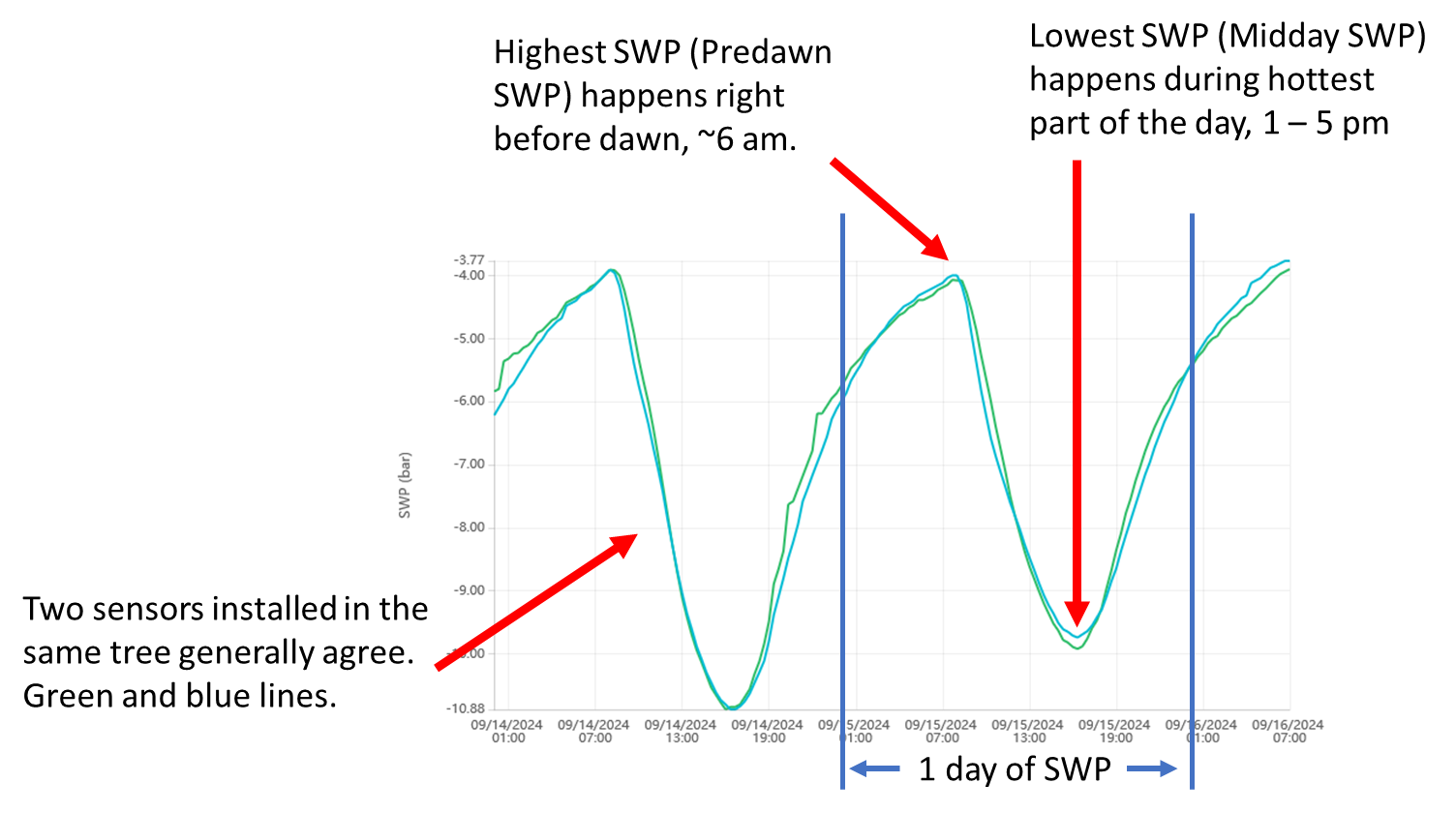 Typical 2-day SWP pattern
