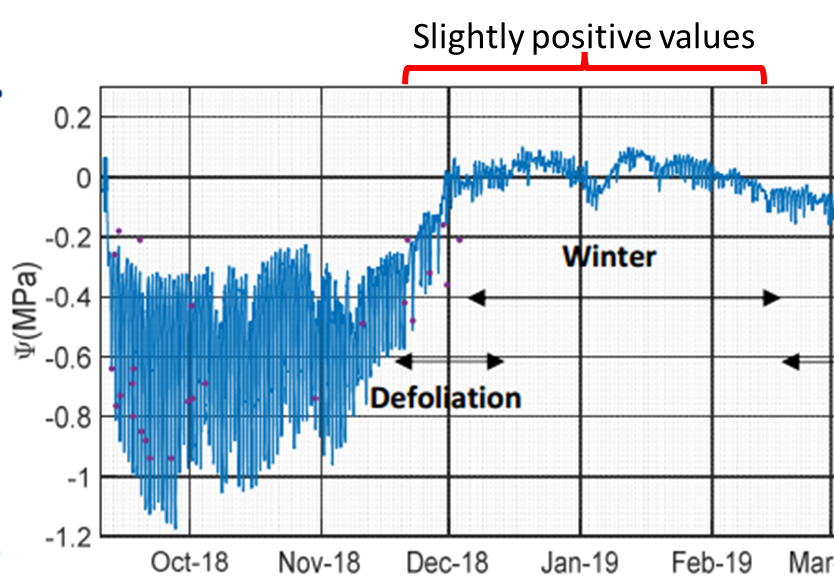 Slightly positive readings example